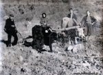 palaia001.jpg