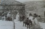 palaia004.jpg
